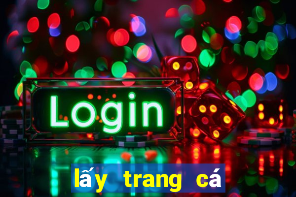 lấy trang cá độ bóng đá