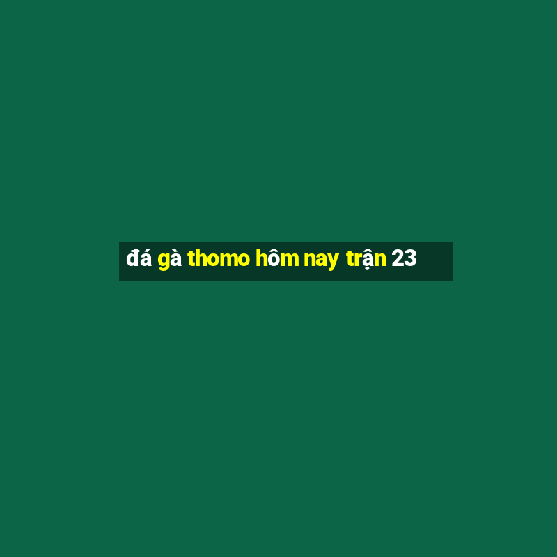 đá gà thomo hôm nay trận 23