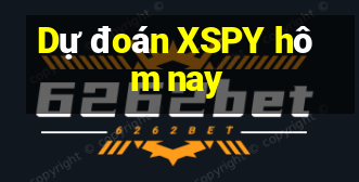 Dự đoán XSPY hôm nay