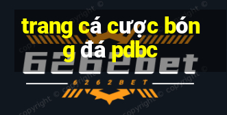 trang cá cược bóng đá pdbc