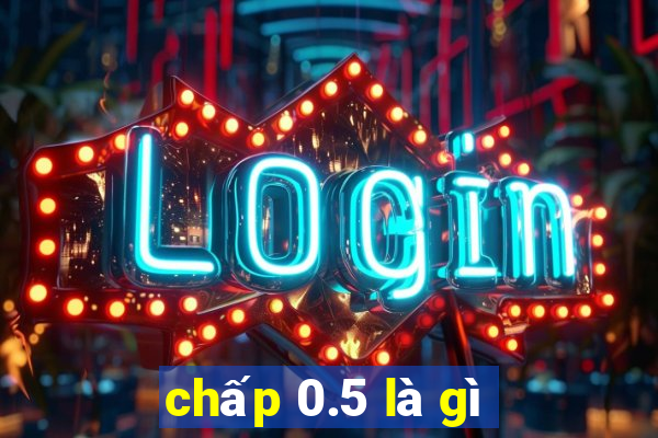 chấp 0.5 là gì