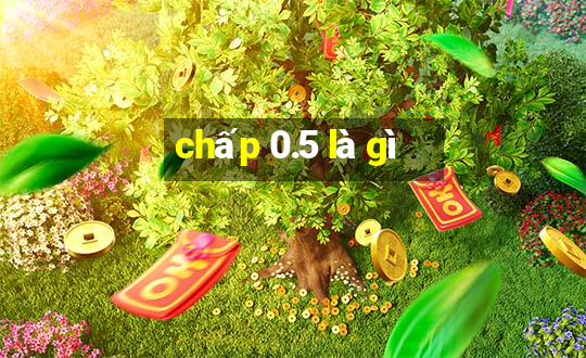 chấp 0.5 là gì