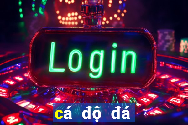 cá độ đá bóng online