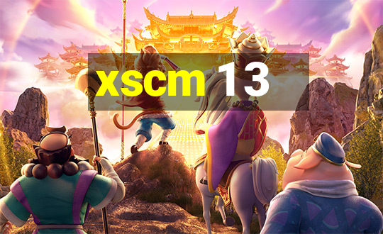 xscm 1 3