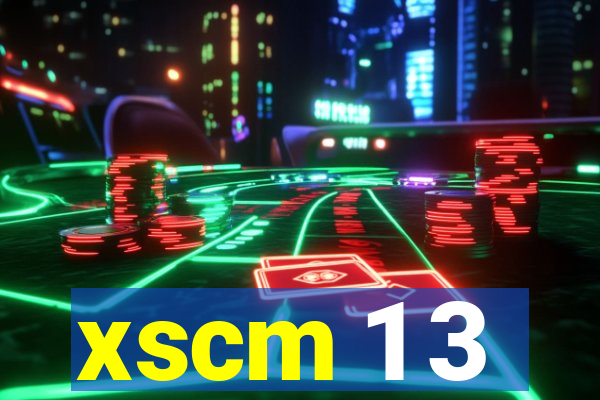 xscm 1 3