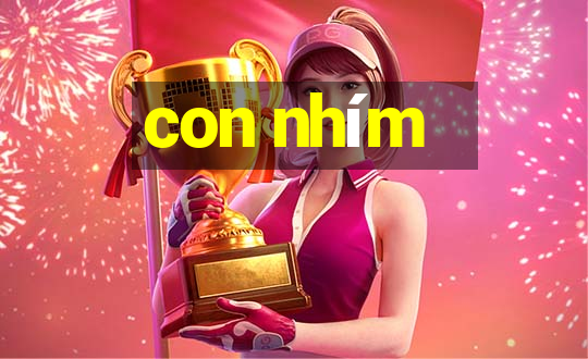 con nhím