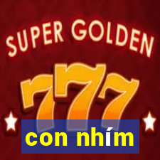 con nhím