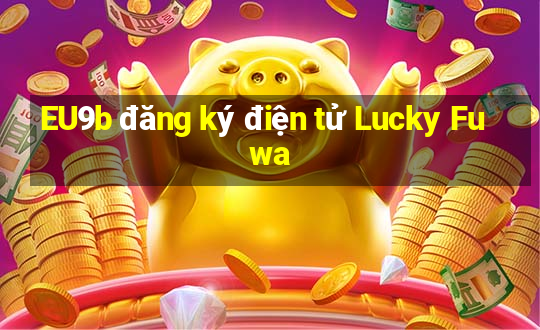 EU9b đăng ký điện tử Lucky Fuwa