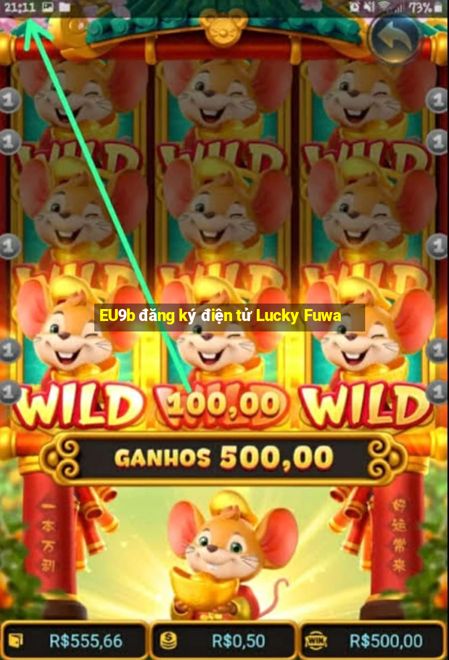 EU9b đăng ký điện tử Lucky Fuwa