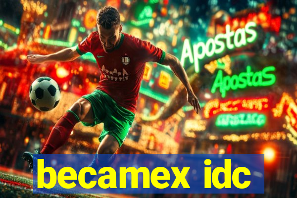 becamex idc