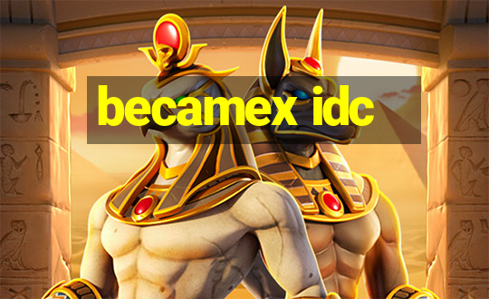 becamex idc