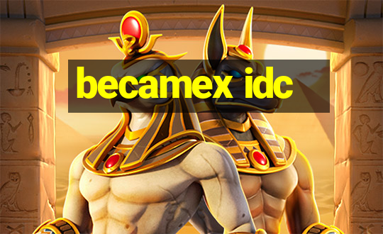 becamex idc