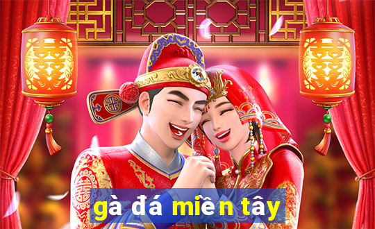 gà đá miền tây