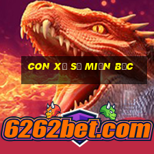 con xổ số miền bắc