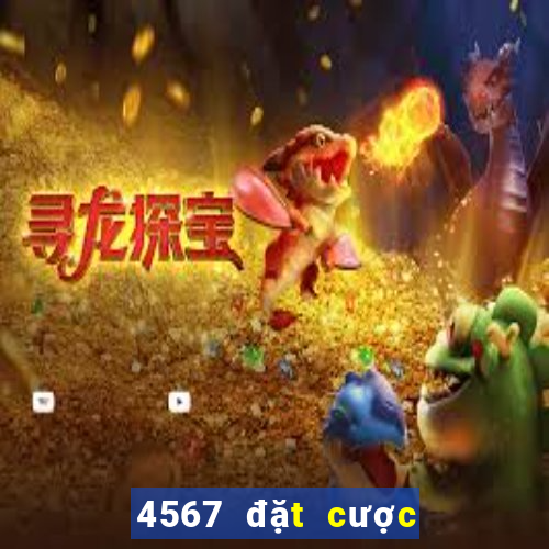 4567 đặt cược màu xs