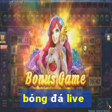 bóng đá live