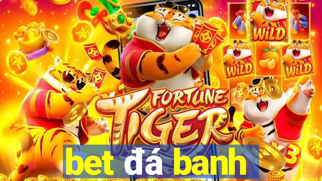 bet đá banh