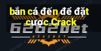 bắn cá đến để đặt cược Crack