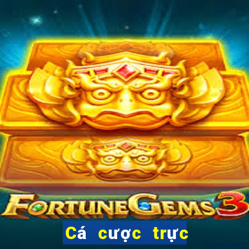 Cá cược trực tuyến top88