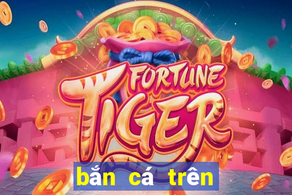 bắn cá trên tàu Bebe