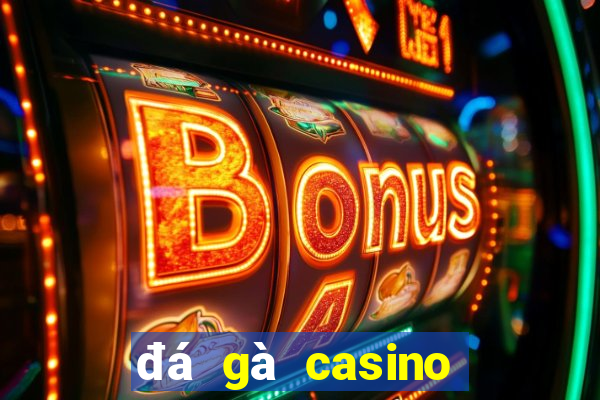 đá gà casino mới nhất