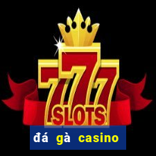 đá gà casino mới nhất