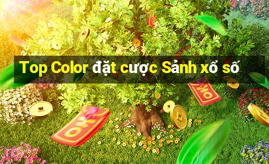 Top Color đặt cược Sảnh xổ số