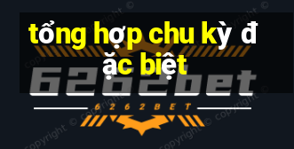 tổng hợp chu kỳ đặc biệt