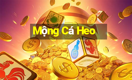 Mộng Cá Heo