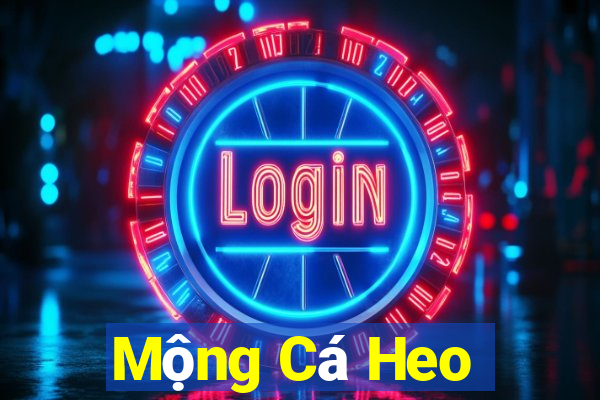 Mộng Cá Heo