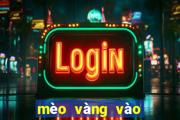 mèo vàng vào nhà có điềm gì