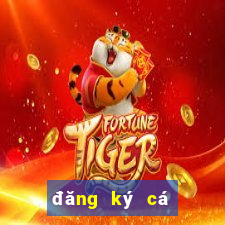 đăng ký cá cược bóng đá m88