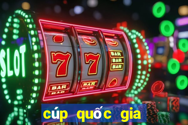 cúp quốc gia hải phòng quảng nam