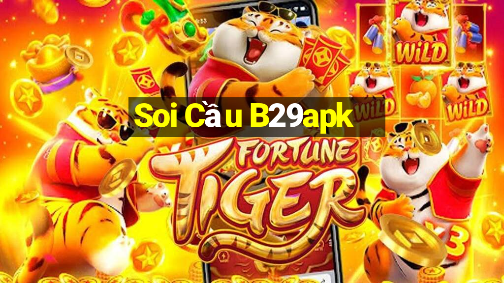 Soi Cầu B29apk