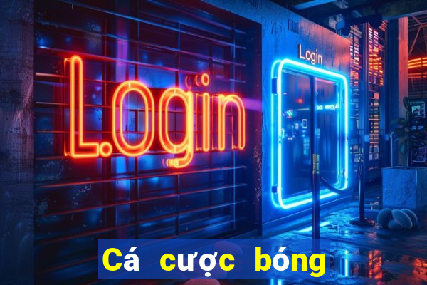 Cá cược bóng rổ ngày mai