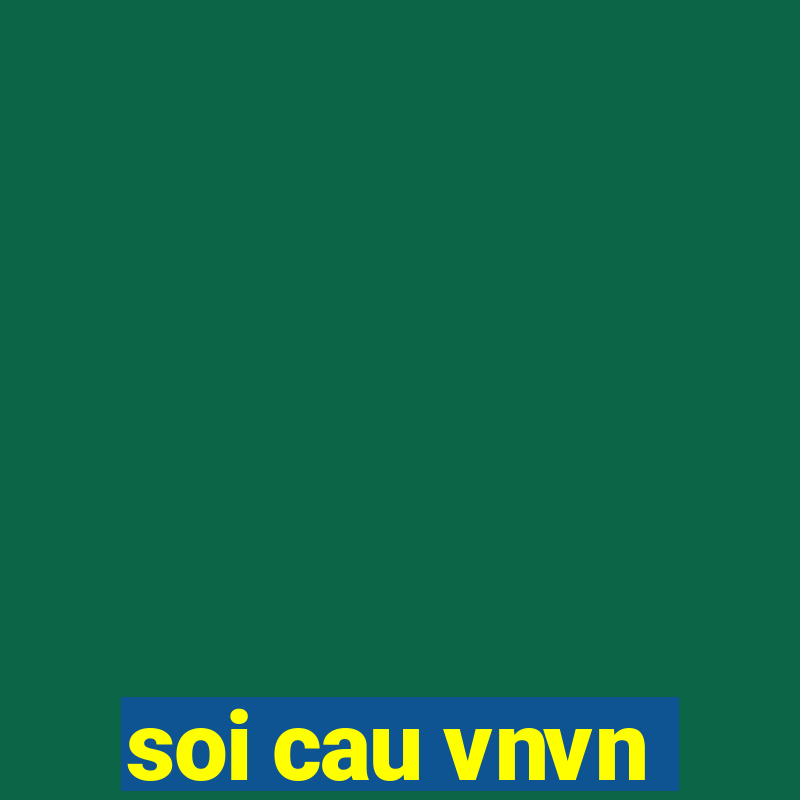 soi cau vnvn