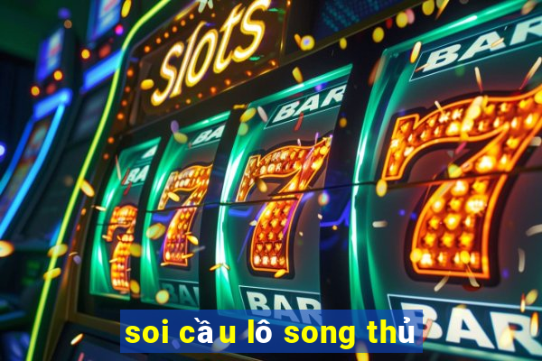 soi cầu lô song thủ