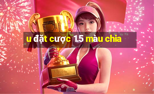 u đặt cược 1.5 màu chia