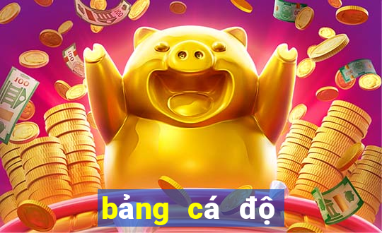 bảng cá độ bóng đá