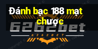 Đánh bạc 188 mạt chược