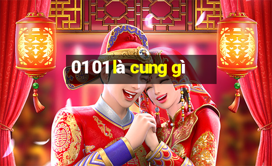 01 01 là cung gì