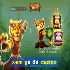 xem gà đá casino