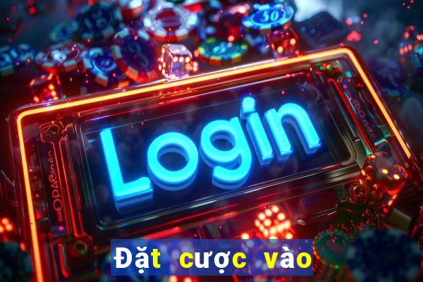 Đặt cược vào ba lượt tải về