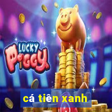 cá tiên xanh