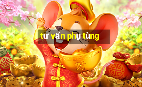 tư vấn phụ tùng