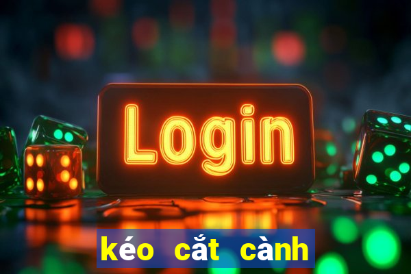 kéo cắt cành nhật bản cao cấp