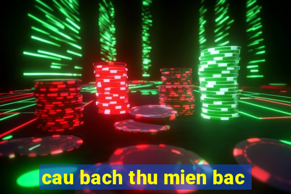 cau bach thu mien bac