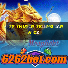 TP Thuyền trưởng Đánh cá