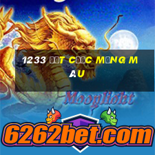 1233 đặt cược mạng màu