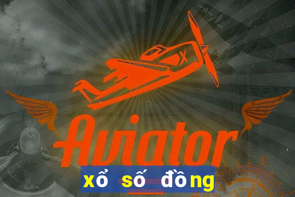 xổ số đồng tháp 50 ngày